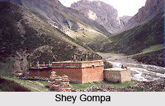 Shey, Leh, Ladakh