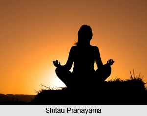 Shitau Pranayama