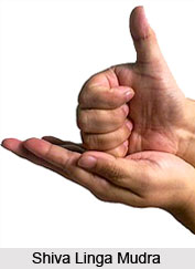 Shiva Linga Mudra