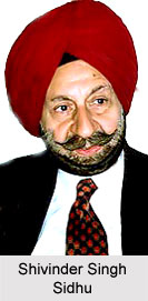 Shivinder Singh Sidhu, Governor of Manipur