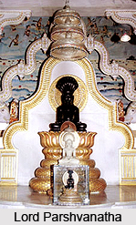 Shri Bhelupur Teerth, Uttar Pradesh