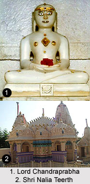 Shri Nalia Teerth, Gujarat