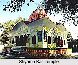 Shyama Kali Temple, Mandi