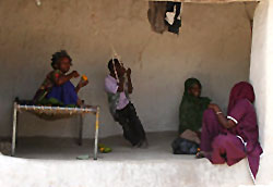 Siddi Tribe