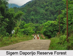 Sigem Daporijo Reserve Forest, Arunachal Pradesh