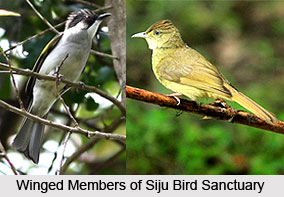 Siju Bird Sanctuary, South Garo Hills District, Meghalaya