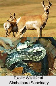 Simbalbara Sanctuary, Sirmour District, Himachal Pradesh