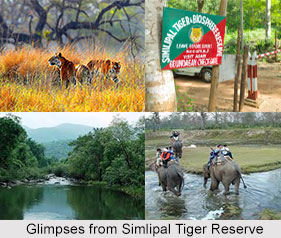 Similipal, Mayurbhaj District, Odisha