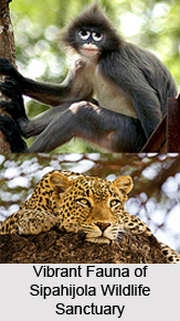 Sipahijola Wildlife Sanctuary, Tripura