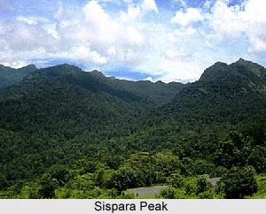 Sispara Peak, Kerala
