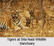 Sita Nadi Wildlife Sanctuary, Chhattisgarh