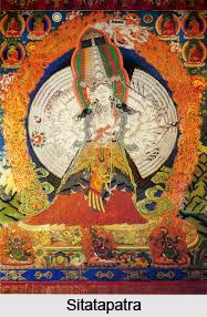 Sitatapatra, Buddhism
