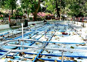 Sivaganga Park in Thanjavur, Tamil Nadu