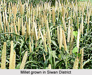 Siwan District, Bihar