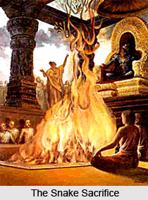 Snake Legends, Brahmanical Legends in Mahabharata