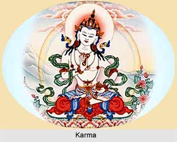 Social Utility of the Jaina Karmic Theory