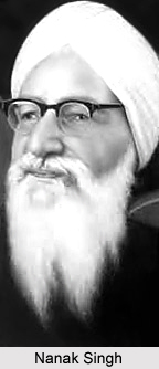 Socialist Realism in Punjabi Novels, Themes in Punjabi Novel