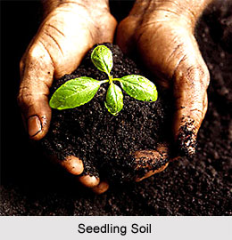 Soil Conservation in India