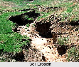 Soil Erosion in Eastern Zone