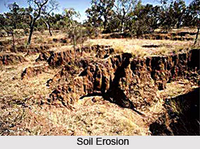 Soil Erosion in Western Zone, Soil Erosion in India