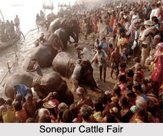 Festivals of Bihar