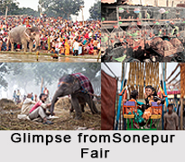 Sonepur Cattle Fair, Bihar