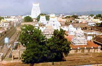 Sri Govindarajaswami Temple