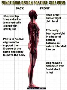 Good Standing Posture