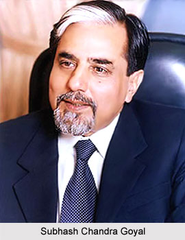 Subhash Chandra Goyal, Indian Businessman