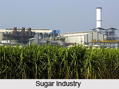Sugar Industry in India