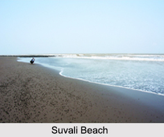 Suvali Beach, Surat, Gujarat