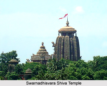 Swarnadhisvara Shiva Temple, Orissa