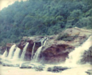 Tamasin in Chatra District