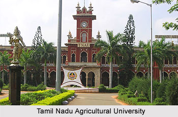 Tamil Nadu Agricultural University