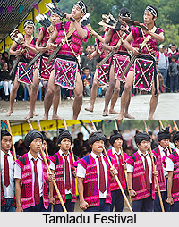Tamladu Festival, Arunachal Pradesh