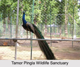Tamor Pingla Wildlife Sanctuary, Surajpur District, Chhattisgarh