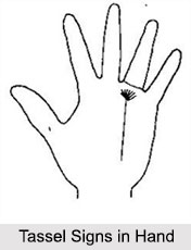 Tassel Signs in Hand, Palmistry
