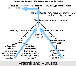 Tatah manojavitvam vikaranabhavah pradhanajayah ca, Patanjali Yoga Sutra