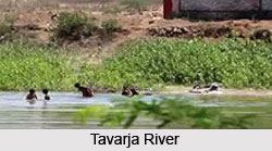 Tavarja River, Indian River
