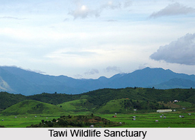 Tawi Wildlife Sanctuary, Aizawl District, Mizoram