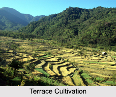 Terrace Cultivation, North East India