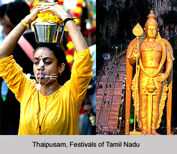 Thaipusam, Festivals of Tamil Nadu