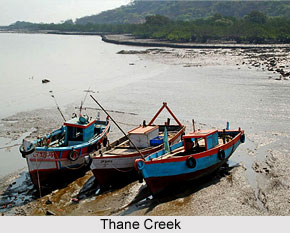 Thane Creek, Maharashtra