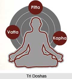 Theory of the Tridoshas