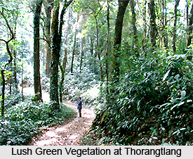 Thorangtlang Wildlife Sanctuary, Lunglei District, Mizoram