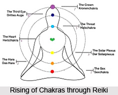 Three Sex Chakras