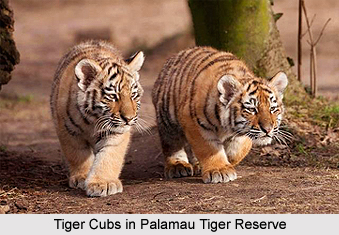 Tourism In Bihar