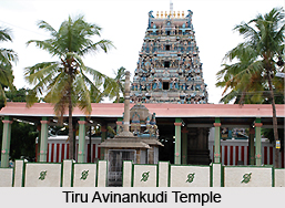 Tiru Avinankudi Temple, Tamil Nadu