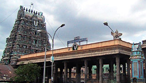 Tiruvallikkeni parthasarthy