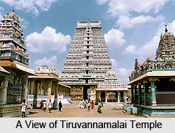 Tiruvannamalai Temple, Tamil Nadu